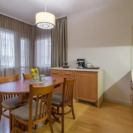 Black Sea Dolphin * Varna