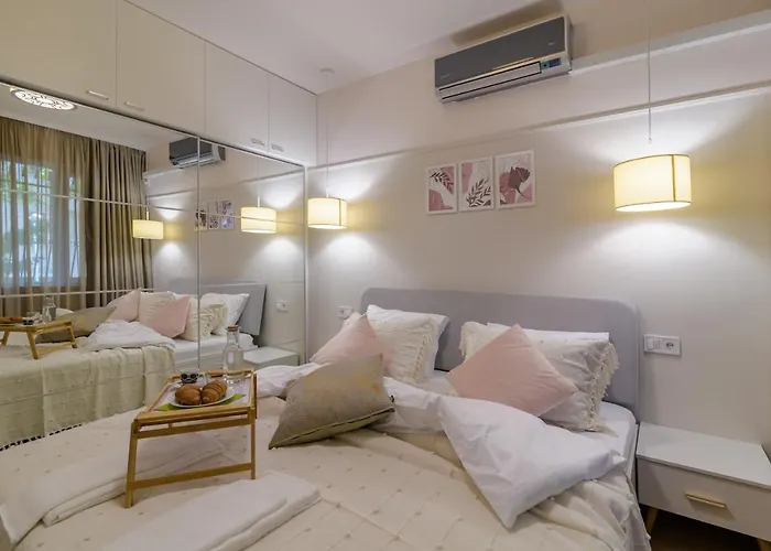 Black Sea Dolphin Varna