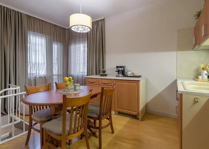 Black Sea Dolphin * Varna